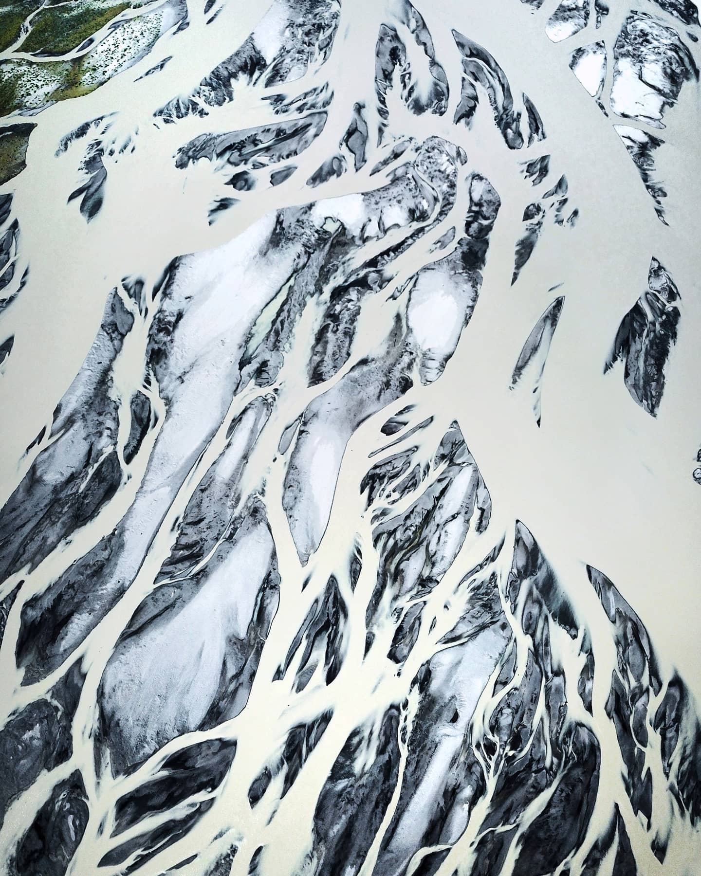 Braided white glacial rivers spreading across a snowfield, seen from the air