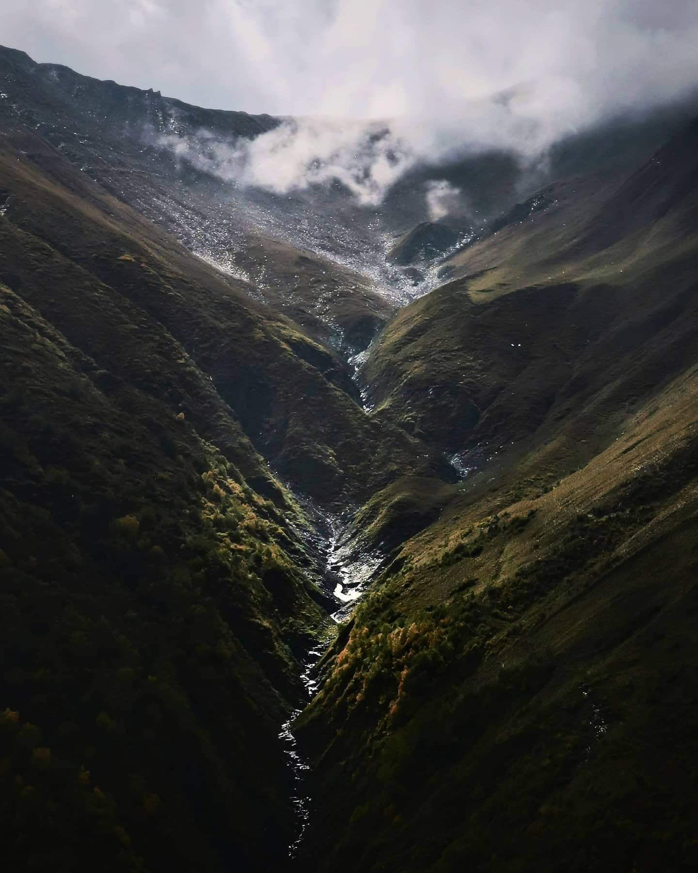 A narrow green canyon with a river far below