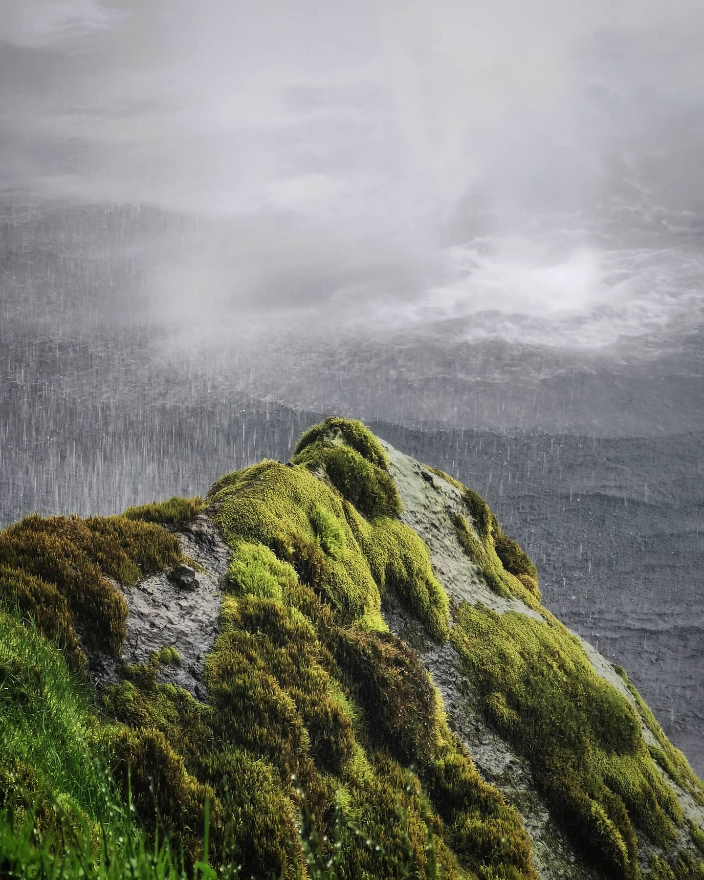 A green mossy ridge under falling rain