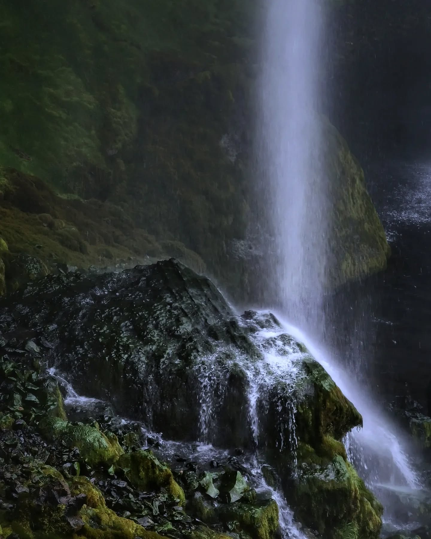 A thin waterfall slipping down a mossy overhang