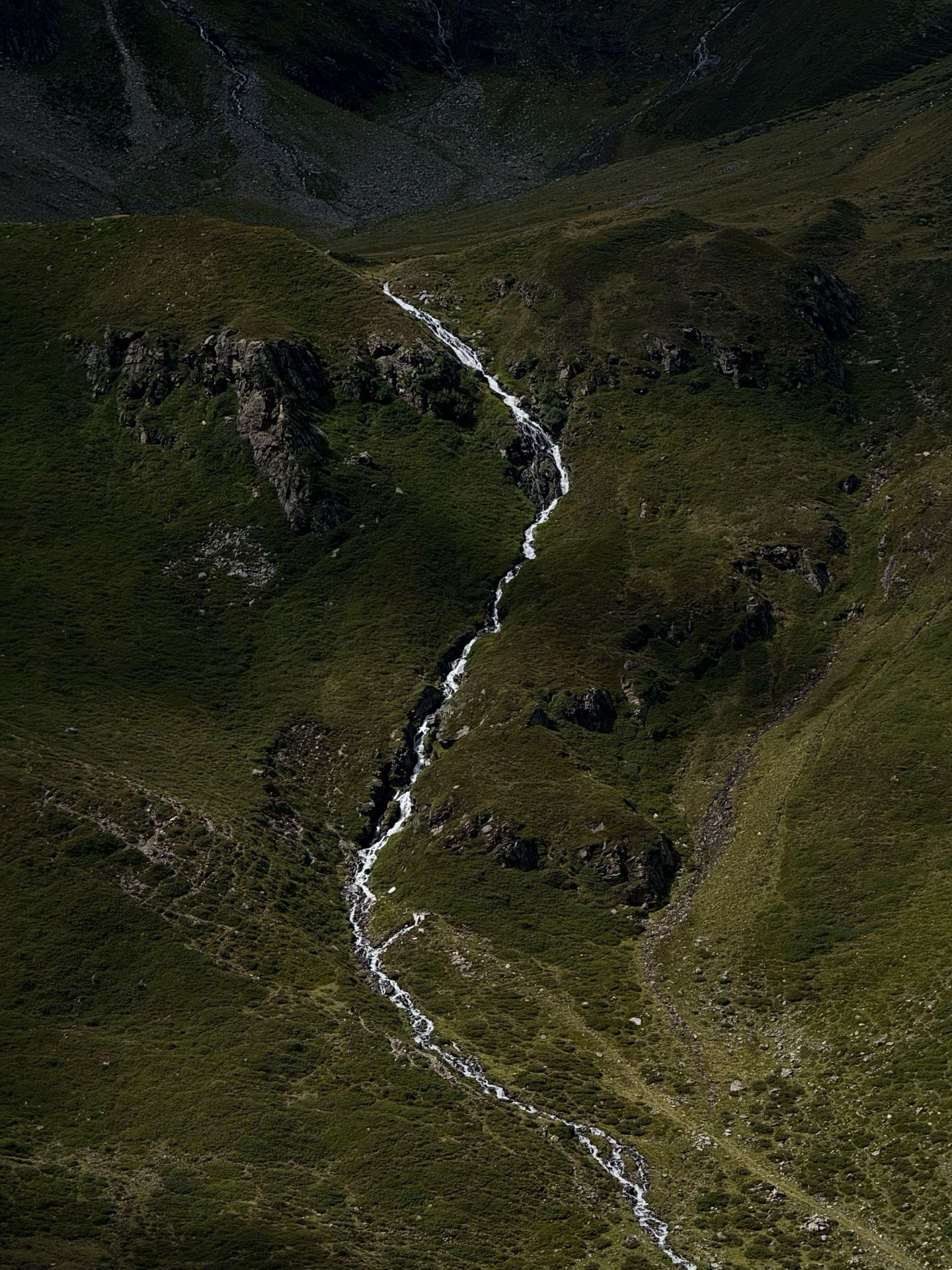 A white stream cutting down a dark green alpine slope